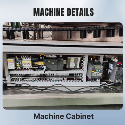 Máy đóng thùng tự động 80 hộp/phút